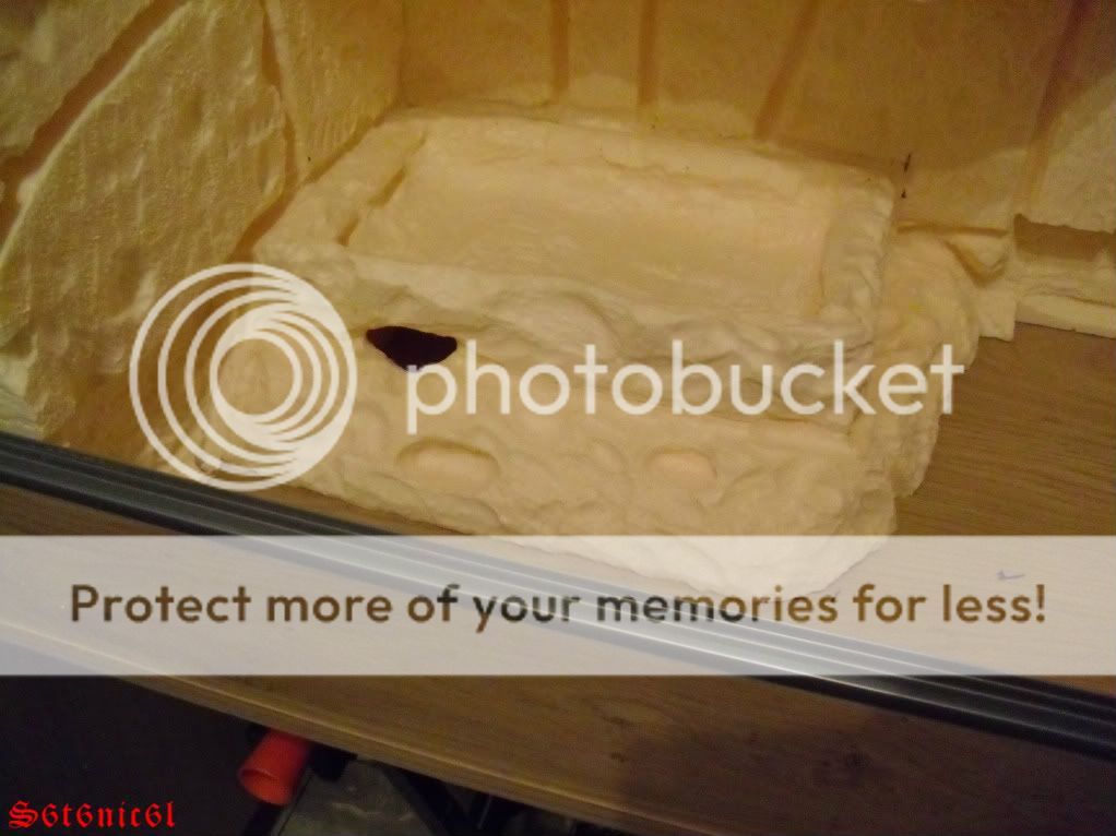 Homemade snake hides!! Reptile Forums